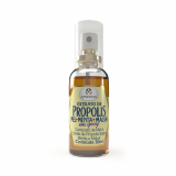 SPRAY PARA GARGANTA COM PRPOLIS APISVIDA MENTA E MALVA 