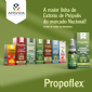 EXTRATO DE PRPOLIS VERDE APISVIDA ORGNICO PROPOFLEX 30ML