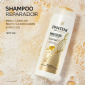 Pantene Pro-V Science Molecular Bond Repair Shampoo 300 ml