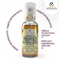 SPRAY PARA GARGANTA COM PRPOLIS APISVIDA MENTA E MALVA 30ML