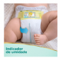 FRALDA PAMPERS PREMIUM CARE RN 36UN