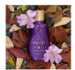 OLEO HIDRATANTE PAIXAO IRRESISTIVEL FLOR DE LIS 100ML