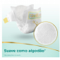 FRALDA PAMPERS PREMIUM CARE RN 36UN