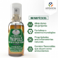 SPRAY PARA GARGANTA PRPOLIS E GENGIBRE SABOR MENTA 30ML